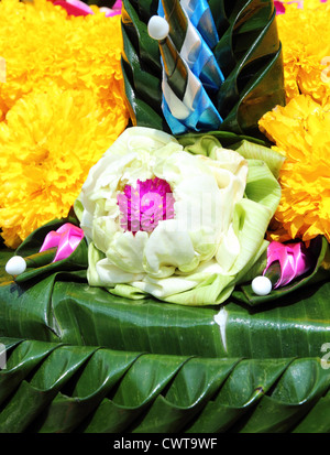 Lotus auf Banane Blatt Handmate für Loy Kratong Festival, Thailand Stockfoto