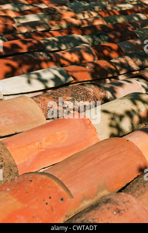 Detail einer Terrakotta geflieste Dach an einem sonnigen Tag mit Schatten in Callas, Provence, Frankreich Europa Stockfoto