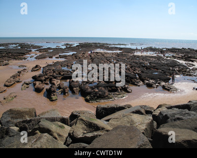 Rock-Pools und Urlauber in Sidmouth von Jacobs Ladder auf einem feinen August Sommertag, Devon Stockfoto