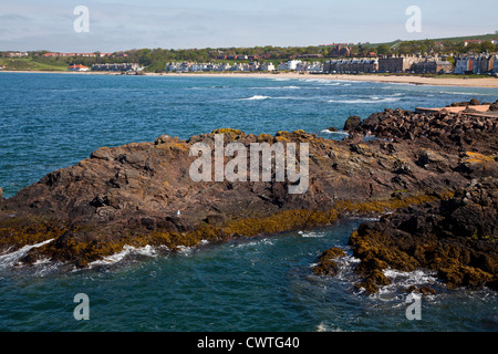 Milsey Bay North Berwick, East Lothian, Schottland. Stockfoto