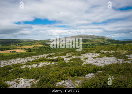 The Burren, Co. Clare, Irland. Stockfoto