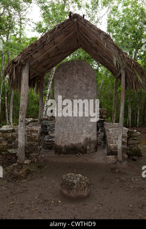 Geschnitzte Stele bei Coba Maya Ruinen, Mexiko Stockfoto