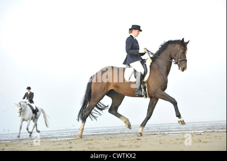 Frau reitet Pferde Stockfoto