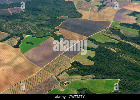 Luftaufnahme von Lavendelfeldern Ende Juni, plateau de Valensole, Arround Valensole Stadt, Alpes de Haute Provence, Frankreich Stockfoto