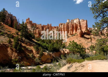 Moosige Höhle Trail in Bryce National Park, Utah Stockfoto