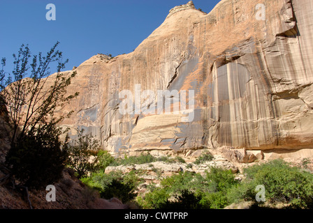 Unteren Kalb Creek Falls Trail, Grand Staircase Escalante National Monument, Utah Stockfoto