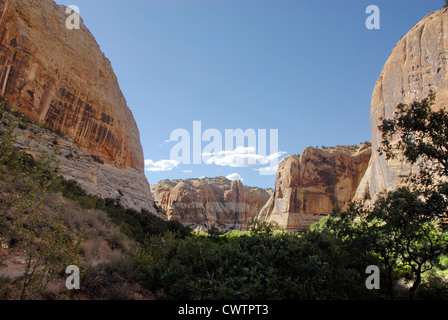 Unteren Kalb Creek Falls Trail, Grand Staircase Escalante National Monument, Utah Stockfoto