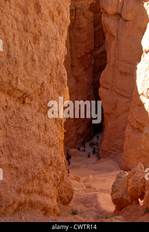 Wandern in einem Slotcanyon im Bryce Canyon National Park, Südwesten von Utah Stockfoto