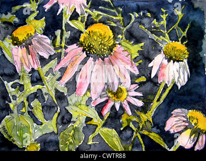 Echinacea-Sonnenhut blühen Aquarellmalerei Stockfoto