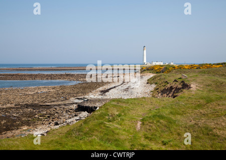 Leuchtturm in Scheunen Ness in der Nähe von Dunbar, East Lothian, Schottland. Stockfoto