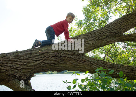 kleiner Junge kriecht entlang eines umgestürzten Baumes Stockfoto