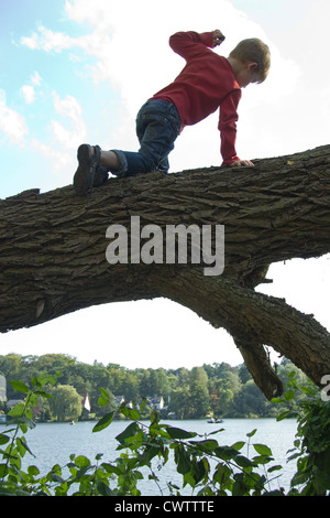 kleiner Junge kriecht entlang eines umgestürzten Baumes Stockfoto