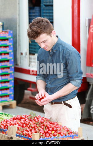 Junger attraktiver Mann in Lebensmittelgeschäften Wahl Tomaten Stockfoto