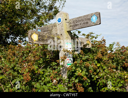 South Downs Way Wegweiser Stockfoto