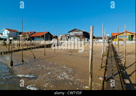 L ' herbe, d ' Arcachon, Gironde Aquitaine, Frankreich Stockfoto