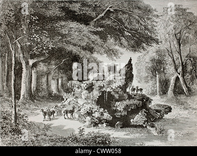 Antilopen-Gehäuse Stockfoto