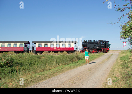 Dampfzug der Selketal-Bahn in der Nähe Quarmbeck, Sachsen-Anhalt, Deutschland Stockfoto