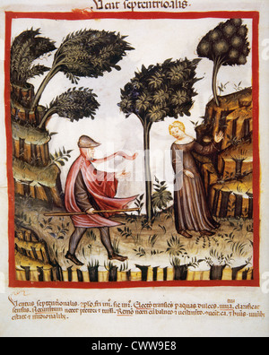 Leben im Mittelalter, Menschen, 'The Big Garden of Love', Kupfer-Gravur