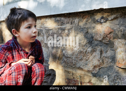 Junge Untersuchungsrichter Motte auf Steinmauer Stockfoto
