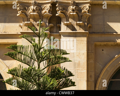 Maltesische Architektur, die auf den Straßen der Insel Malta, Mittelmeer Stockfoto