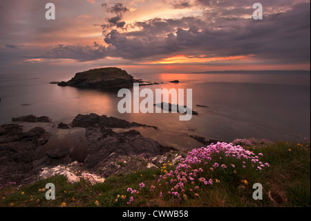 Wasser abwaschen auf Felsformationen Stockfoto