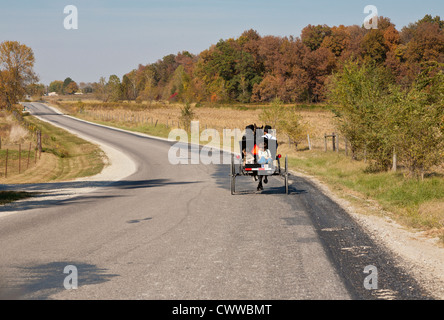 Amische Familie fahren ihr Pferd und Buggy auf Landstraße in der Nähe von Montgomery, Indiana Stockfoto