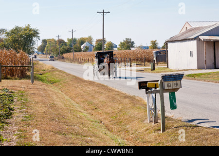 Amische Mann fahren von seinem Pferd und Buggy auf Landstraße in der Nähe von Montgomery, Indiana Stockfoto