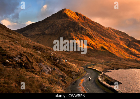 Schafe zu Fuß auf ländlichen Bergstraße Stockfoto