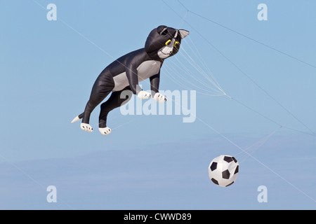 Kite geformt wie eine Katze und einen Fußball, fliegen auf dem Treasure Island Kite Festival in Treasure Island, Florida Stockfoto