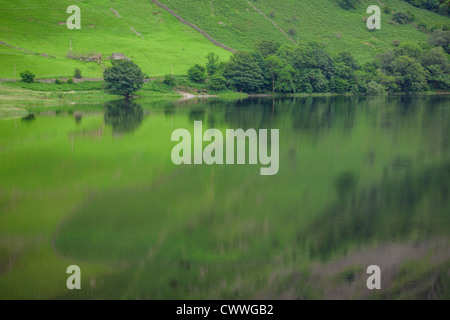 Üppige Grün der Wiesen und Bäume spiegelt sich in Brüder Wasser im Lake District, Cumbria. Stockfoto