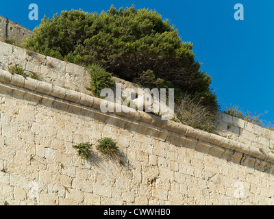 Befestigungen der drei Städte, Insel Malta, mediterranen zeigt konkrete gefälschte Kanone. Stockfoto