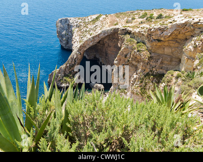 Die Blaue Grotte nahe dem Dorf von Zurrieq, Insel Malta, Mittelmeer Stockfoto