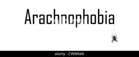 Darstellung von Arachnophobia, die abnorme Angst vor Spinnen Stockfoto