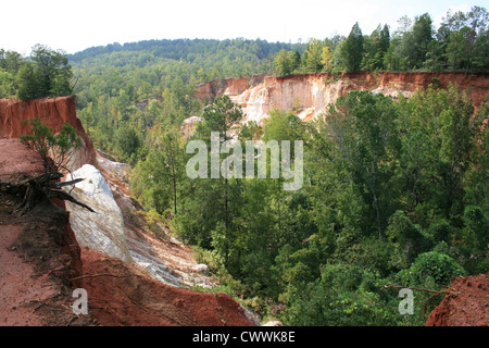 Providence Canyon State Park, Georgia, GA Little Grand Canyon Natur Foto Bild Posterdruck Stockfoto