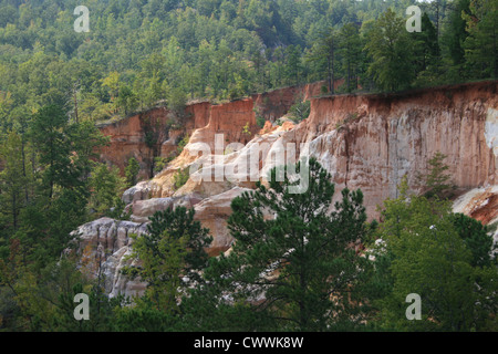 Providence Canyon State Park, Georgia, GA Little Grand Canyon Natur Foto Bild Posterdruck Stockfoto