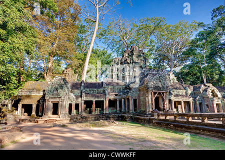 Ta Prohm Tempel in Kambodscha Stockfoto