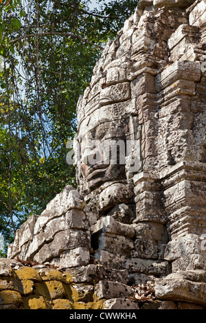 Ta Som Tempel in Siem Reap, Kambodscha. Stockfoto