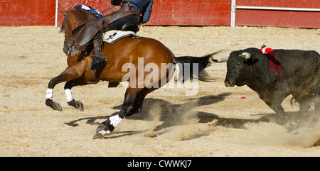 Stierkampf auf dem Pferderücken. Typischen spanischen Stierkampf. Stockfoto