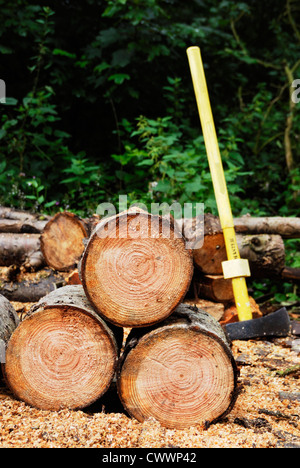 Schneiden Sie Protokolle für Brennholz Verarbeitung, Wales gestapelt Stockfoto