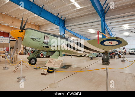 Hawker Sea Fury Mk. X britische Kampfflugzeug, Royal Australian Air Force Markierungen, im Krieg Adler Air Museum, Santa Teresa, New Mexico, USA Stockfoto