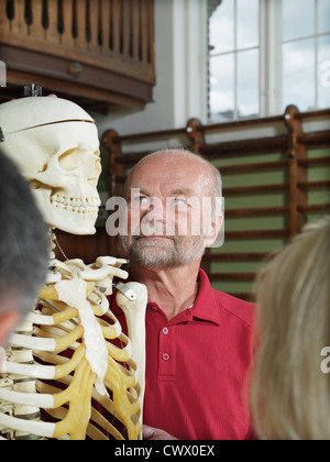 Ältere Menschen untersuchen Skelett Stockfoto