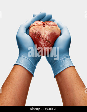 Behandschuhten Händen hält genähte Herz Stockfoto
