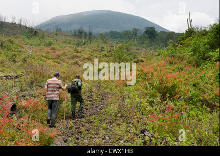 Wanderer Klettern Nyiragongo Volcano, Virunga National Park, DR Congo Stockfoto