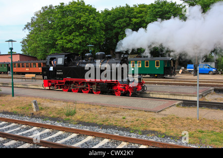 Schmalspur-Dampfeisenbahn "Rasender Roland" in Putbus, Rügen Stockfoto