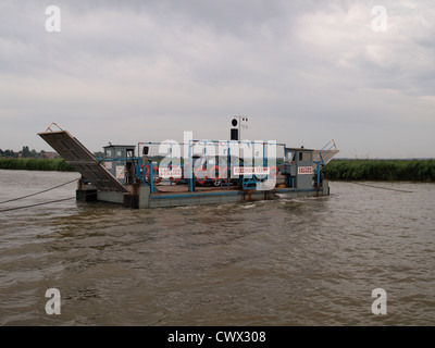 Reedham Kette Fähre, Norfolk, Großbritannien Stockfoto