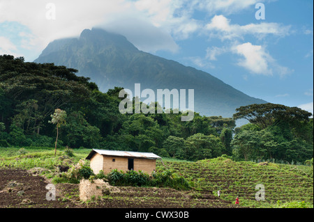 Höfe am Fuße des Vulkans Mount Mikeno, Virunga-Nationalpark, DR Congo Stockfoto