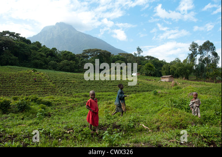 Kinder vor Vulkan Mount Mikeno, Virunga-Nationalpark, DR Congo Stockfoto