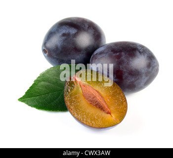 Frische Pflaumen Früchte mit Green Leaf isoliert auf weißem Hintergrund im Studio Stockfoto