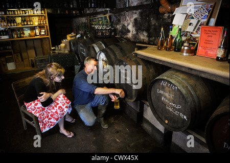 Probenahme Apfelwein in einem Hofladen auf einem englischen Hof, Herefordshire, UK Stockfoto