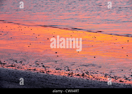 Bei Ebbe Wattwanderungen Insel Sanibel Causeway Küste bei Sonnenaufgang, Sanibel Island, Florida, USA Stockfoto